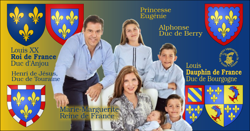 Rappels sur la tradition héraldique royale française Les couleurs de la famille royale